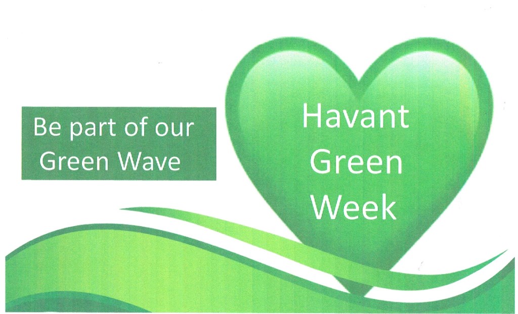 This image has an empty alt attribute; its file name is green-wave-4-1.jpg