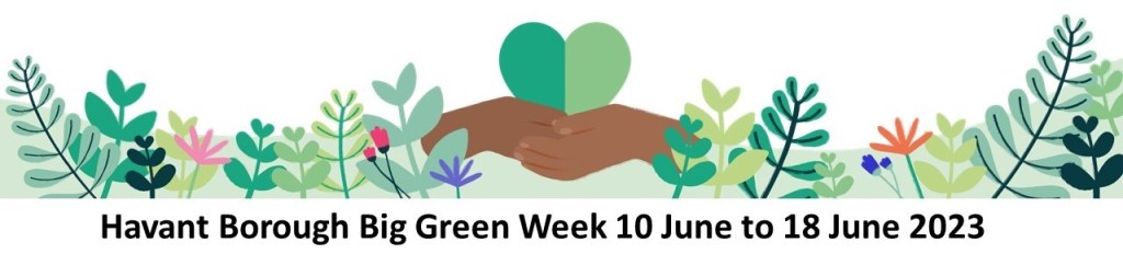 This image has an empty alt attribute; its file name is long-ad-2.jpg