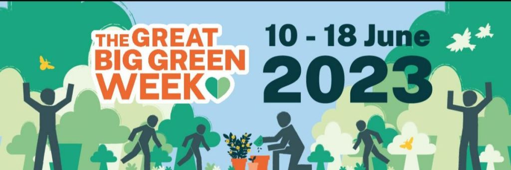 This image has an empty alt attribute; its file name is mail-1.jpg