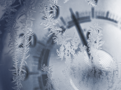 Annual report 2024-5