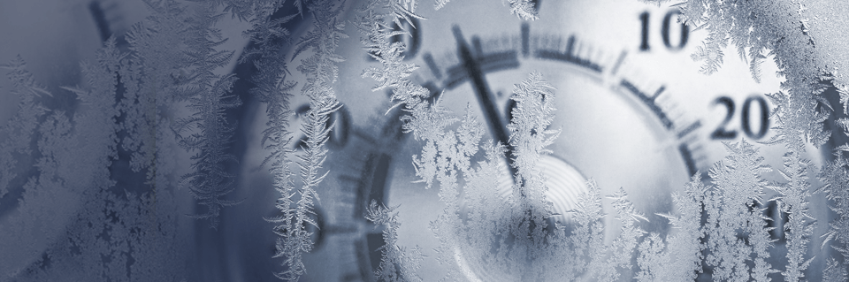 Annual report 2024-5