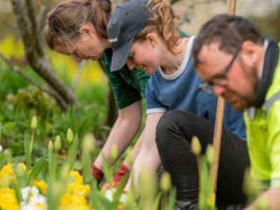 Local groups which would welcome&nbsp;support